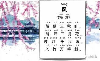 古镜通古代，我囤货娇养了女帝,囤货娇养，穿越时空的传奇之旅