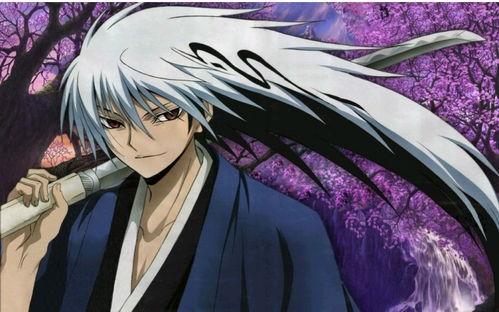 滑头鬼之孙,阴阳师与妖怪的奇幻冒险之旅