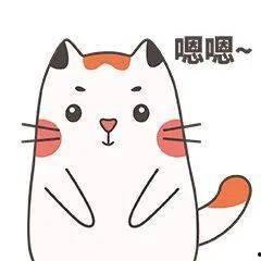 真少爷听劝后全懵了,内心错愕不已