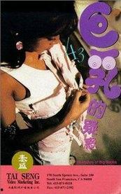 巨乳的疑惑,生理成因与审美观念的碰撞